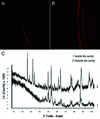 [Figure 3]