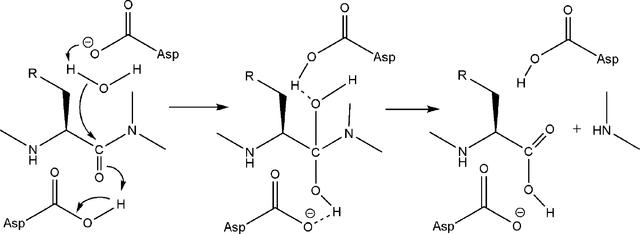 [Figure 4]