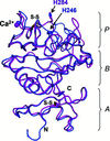 [Figure 1]