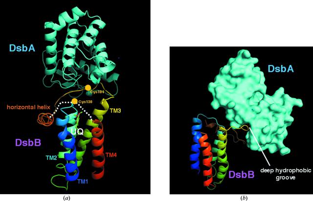 [Figure 2]