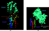 [Figure 2]