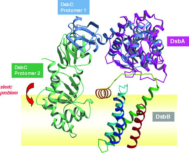 [Figure 4]