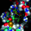 [Figure 1]