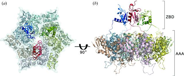 [Figure 1]