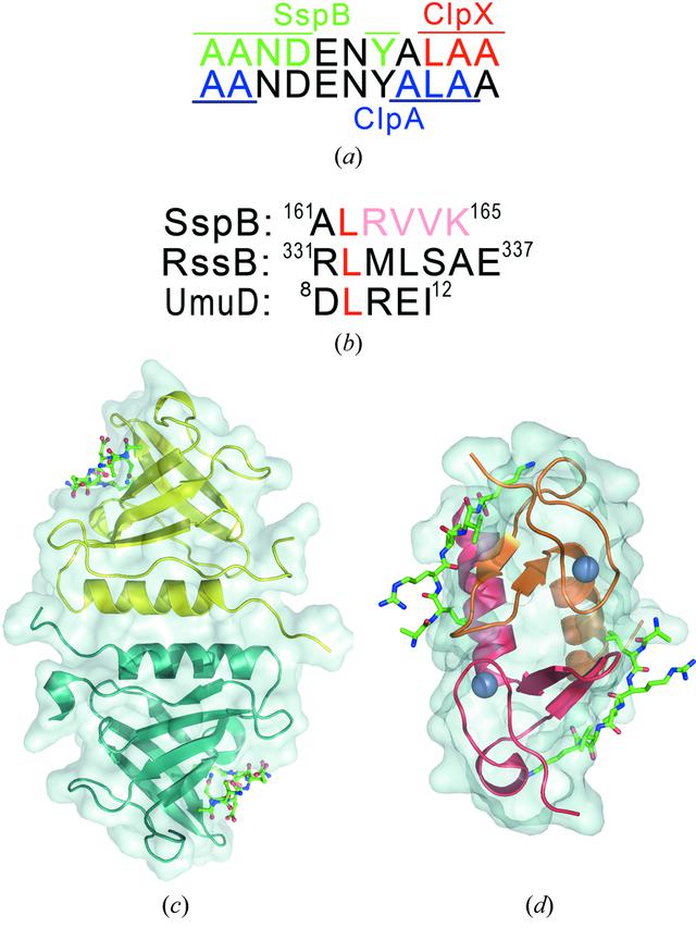 [Figure 2]