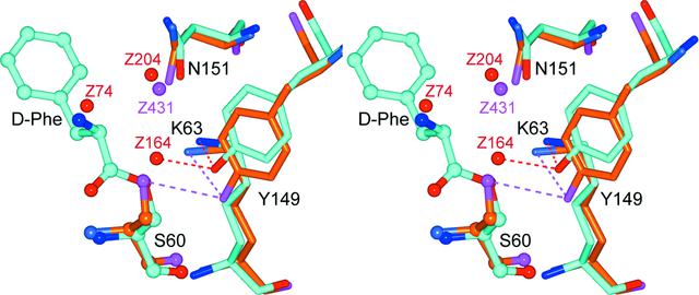 [Figure 1]