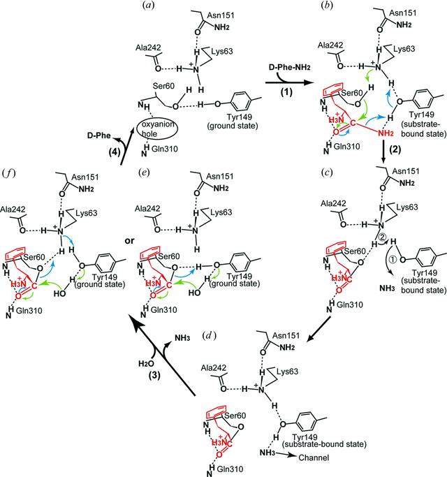 [Figure 2]