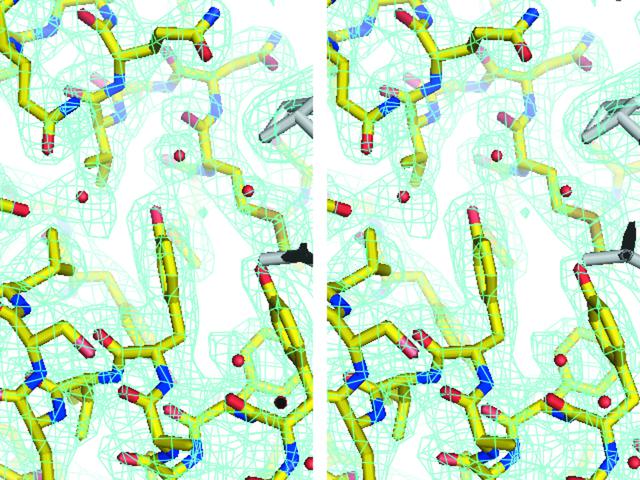 [Figure 1]