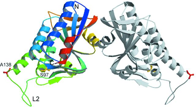 [Figure 2]