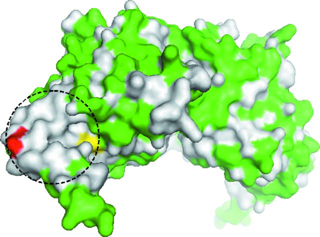 [Figure 4]