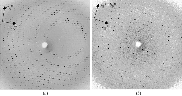 [Figure 1]