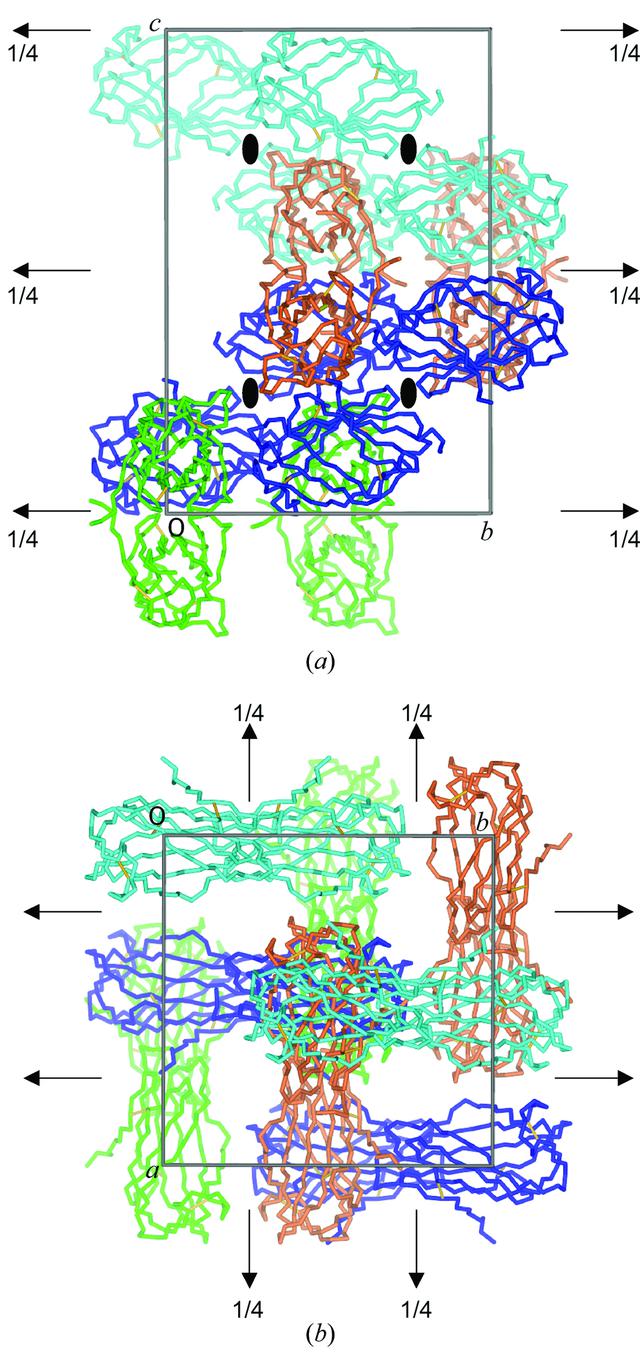 [Figure 4]