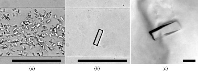 [Figure 2]