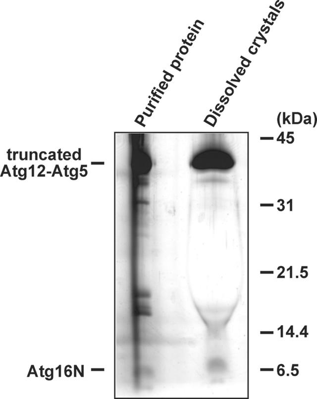 [Figure 3]