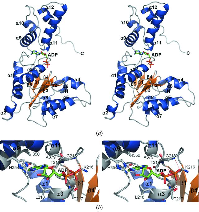[Figure 1]