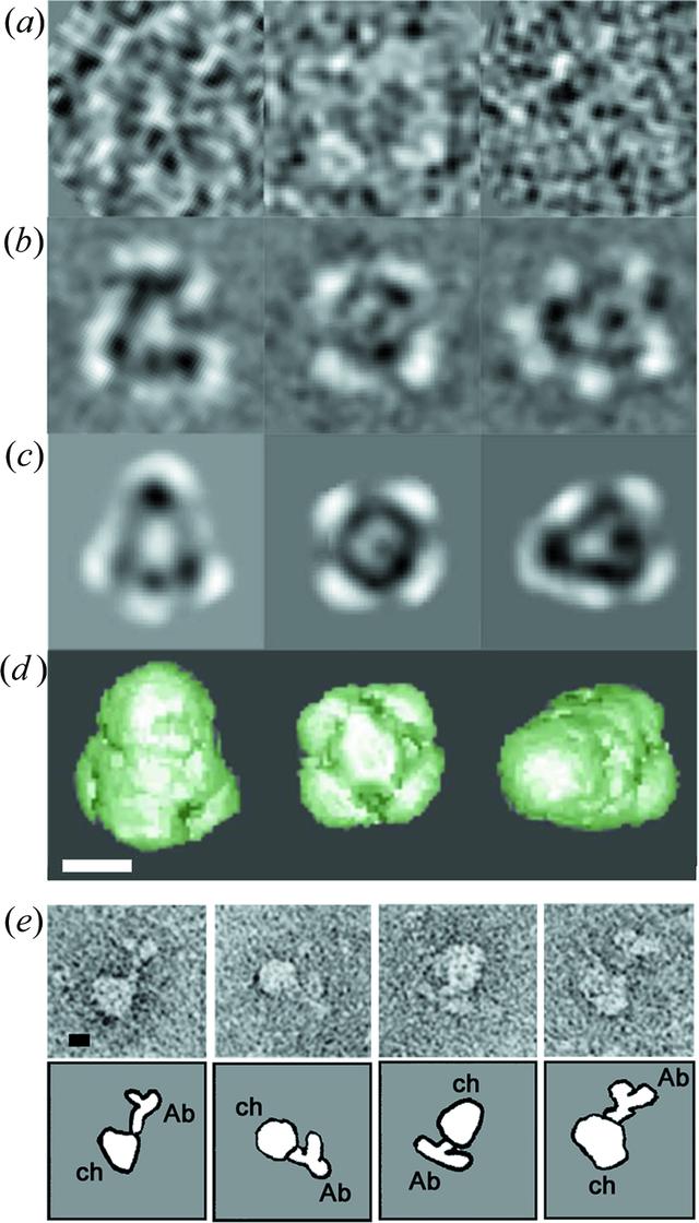 [Figure 2]