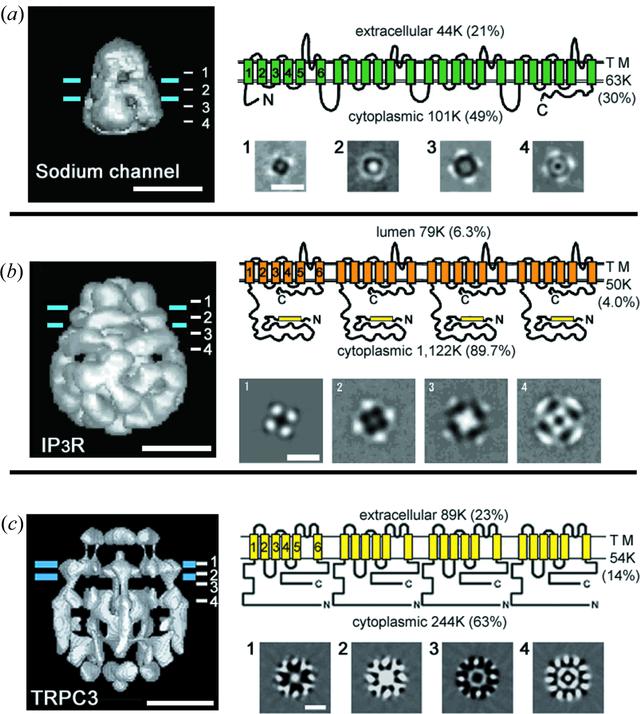[Figure 3]