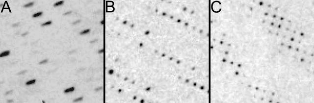 [Figure 1]