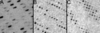 [Figure 1]