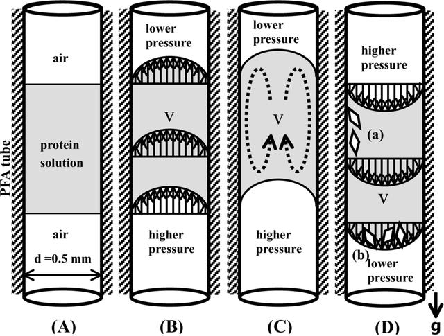 [Figure 1]