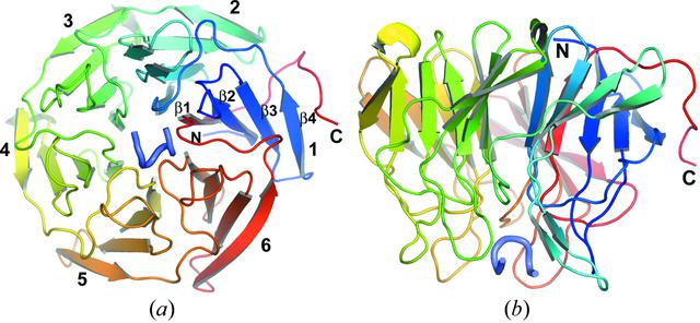 [Figure 1]