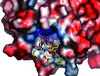 [Figure 3]