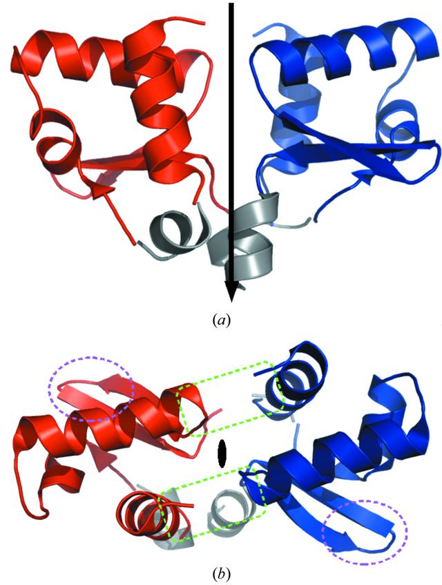 [Figure 1]