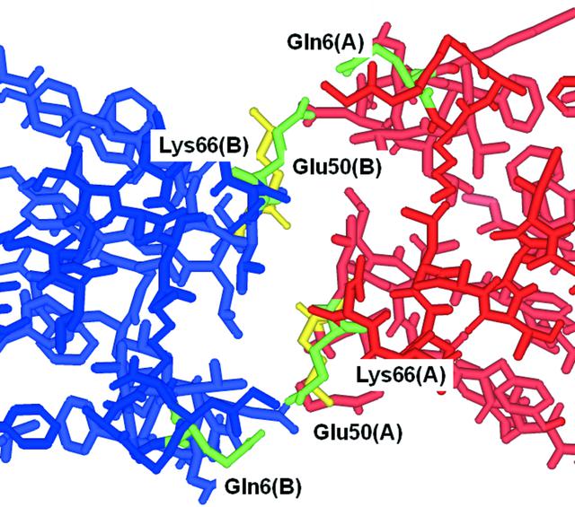 [Figure 3]
