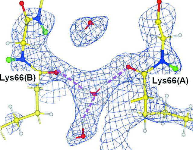 [Figure 4]