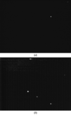 [Figure 4]