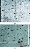 [Figure 6]