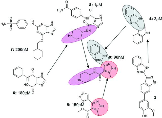 [Figure 4]