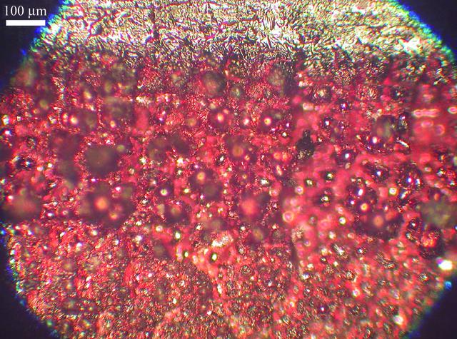 [Figure 6]