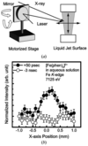 [Figure 4]