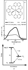 [Figure 5]