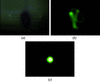 [Figure 6]