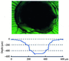 [Figure 4]