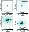 [Figure 1]