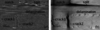 [Figure 4]