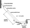 [Figure 1]