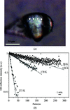 [Figure 3]