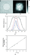 [Figure 5]