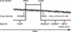 [Figure 5]