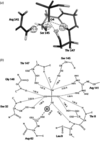 [Figure 3]