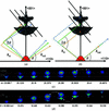 [Figure 4]