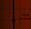 [Figure 7]