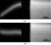 [Figure 2]