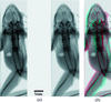 [Figure 3]