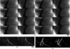 [Figure 6]