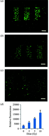 [Figure 3]